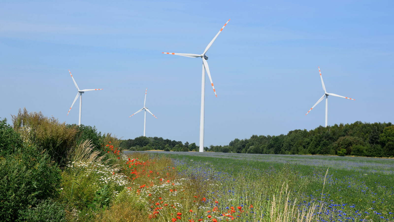 pomorze zachodnie energia odnawialna