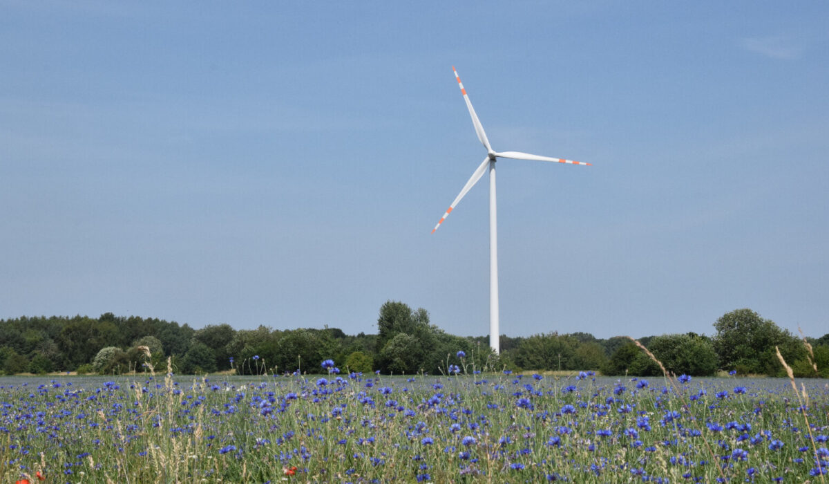 To byłby koniec energetyki wiatrowej w Polsce