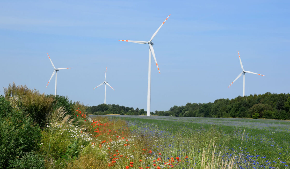 Pomorze zachodnie utrzymuje fotel lidera