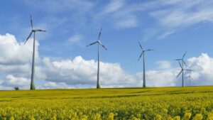 Read more about the article Zachodniopomorskie firmy zdobywają zlecenia w branży offshore 