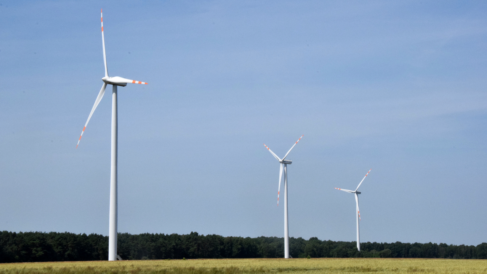 Read more about the article Tauron uruchamia kolejną farmę wiatrową na Pomorzu Zachodnim 