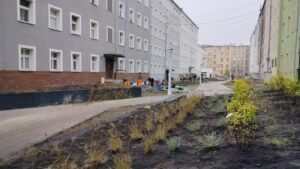 Read more about the article Rewitalizacja w parze z ekologią