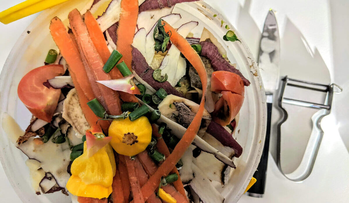 Co w (skoszonej) trawie piszczy? Czyli co nowego w sprawie Szczecińskiego Centrum Biorecyklingu