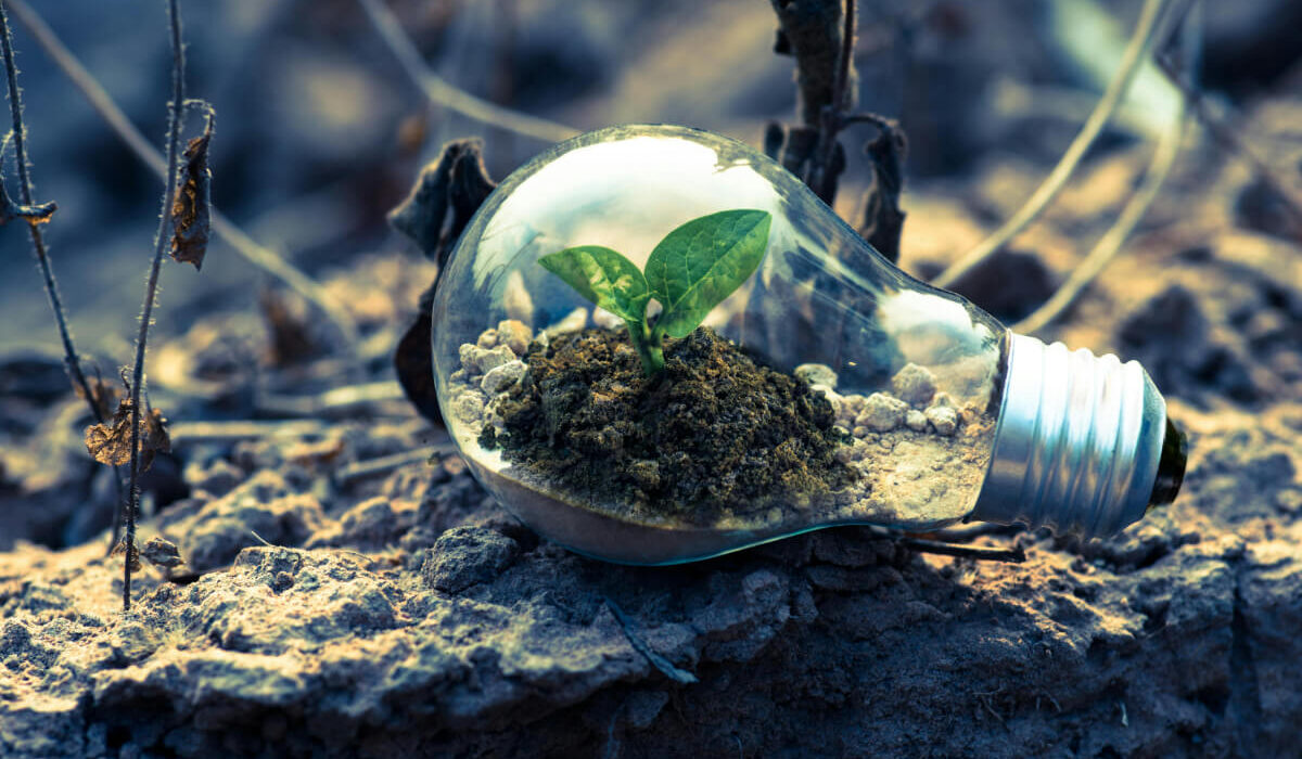 Międzynarodowy Kongres „Go Green”