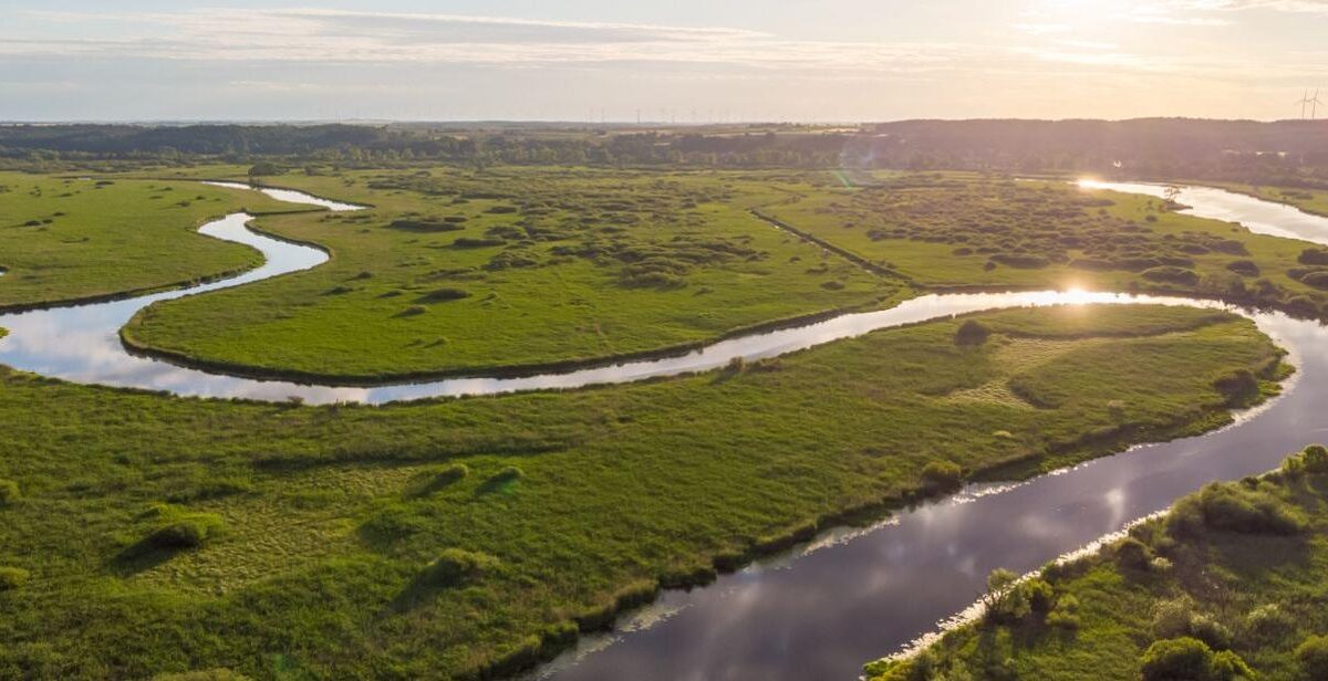 Dolina Dolnej Odry jako Park Narodowy – co to oznacza dla regionu?