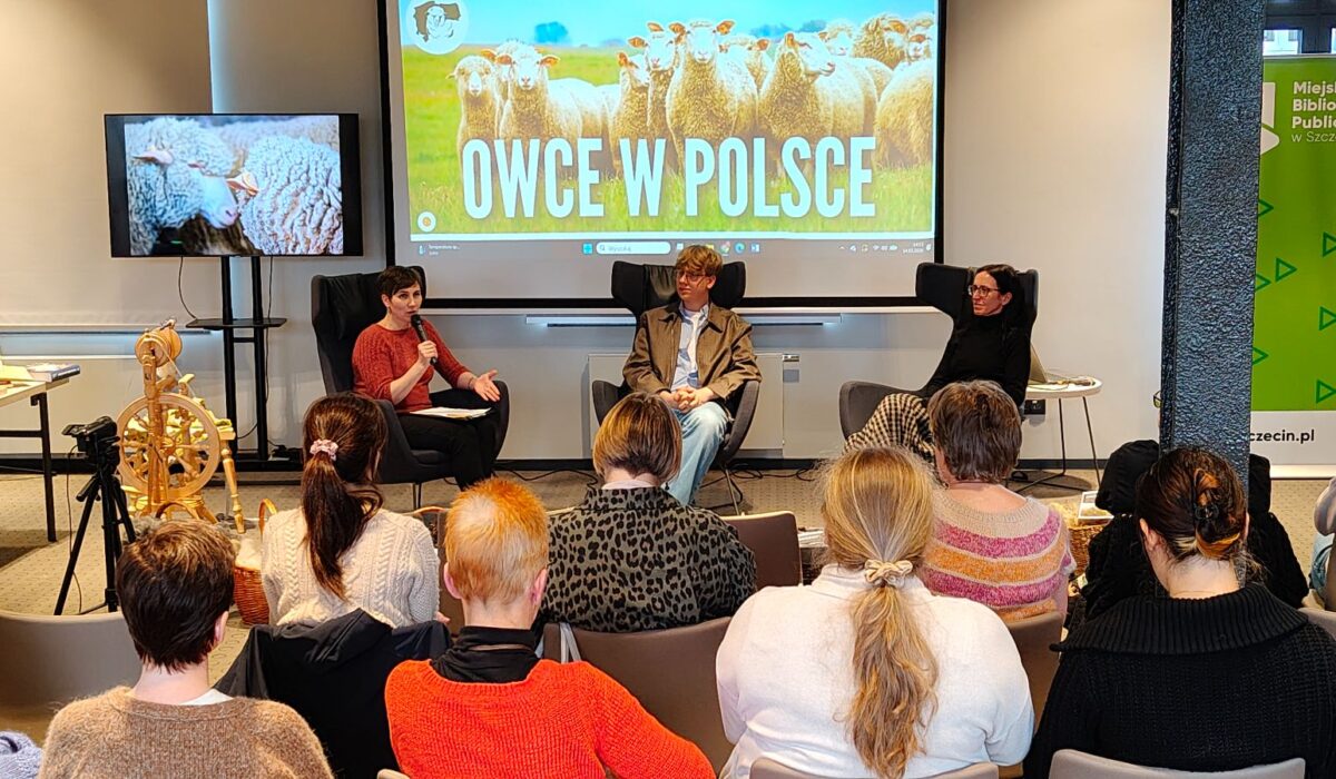 Polska wełna: ekologiczna alternatywa dla szybkiej mody i zapomniane dziedzictwo 