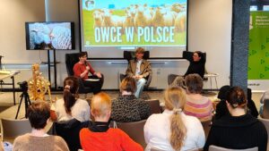 Read more about the article Polska wełna: ekologiczna alternatywa dla szybkiej mody i zapomniane dziedzictwo 