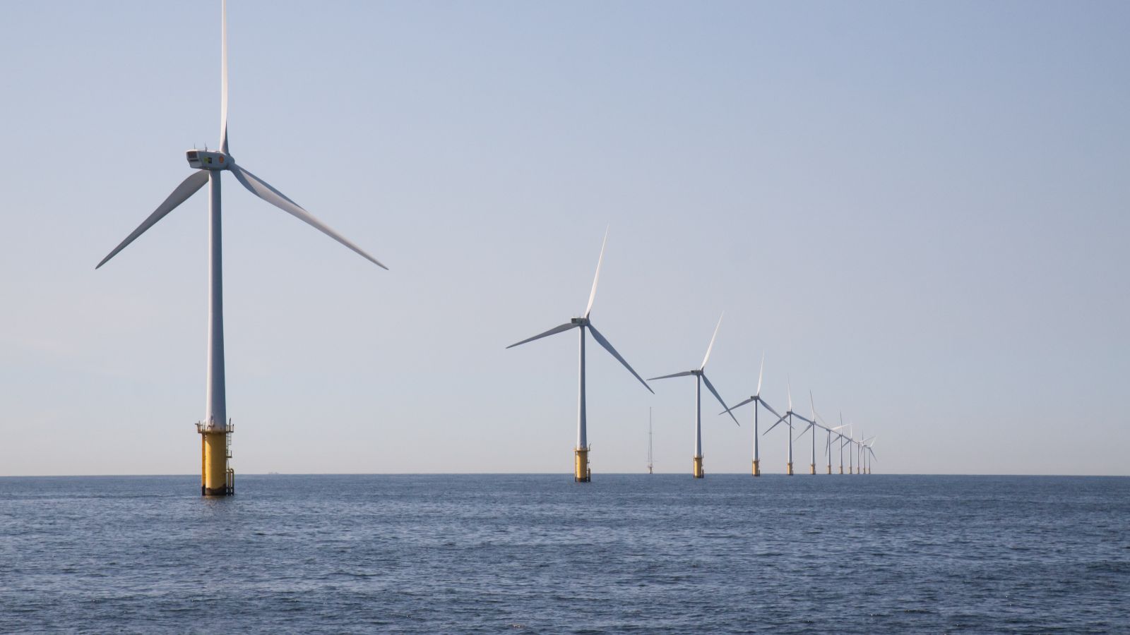 Read more about the article Klaster Offshore Wind w Szczecinie ma nowy zarząd. Przemysław Hołowacz prezesem